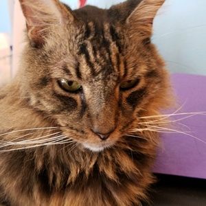 Meet your Posher, Karen